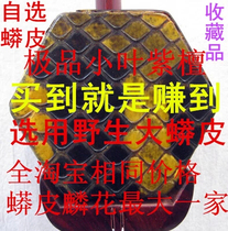 Small leaf red sandalwood erhu examination performance special piano Myanmar golden flower piano handmade noodle skin