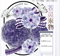 Tape packaging Canglinglaiwu Shell Light 150cm This shop is 48 yuan non-remote areas