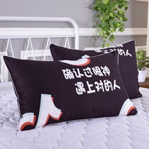 Wash boys pillow pillowcase protection disassembly and washing junior high school household set of large universal portable college student fashion double