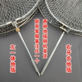 Специальное предложение Бесплатная доставка