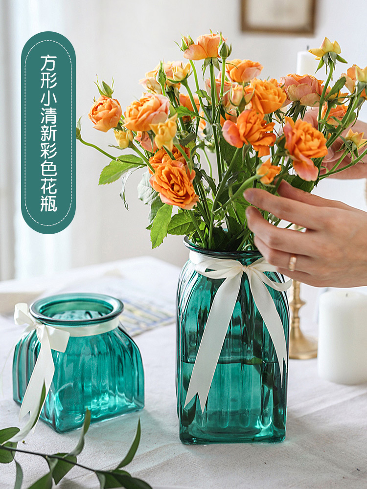 Small fresh glass vase Transparent Nordic hydroponic rich bamboo lily ornaments living room ins color plug dry vase