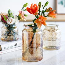 Glass Vase ornaments Nordic living room flower arrangement modern simple transparent soft decoration hydroponic rich bamboo flower Ware