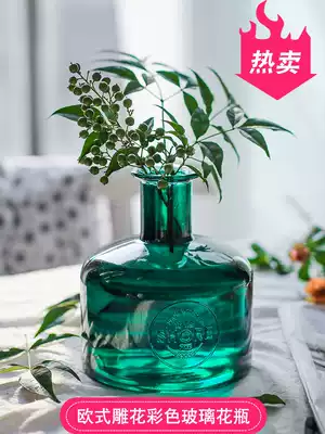 Glass vase hydroponic transparent vase hipster living room home European literary creative hydroponic simple ornaments