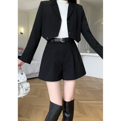 Шерстяной костюм, демисезонные шорты, штаны для отдыха, универсальные сапоги, высокая талия, оверсайз, по фигуре, А-силуэт, свободный крой