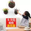 Товары от 花儿朵朵花卉店