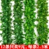 Mô phỏng cây leo trang trí mây giả hoa nho ống hoa nho cây xanh trần cây lá nhựa nhựa lá xanh lá - Hoa nhân tạo / Cây / Trái cây cây hoa giả Hoa nhân tạo / Cây / Trái cây