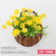 Little Lotus 2 кровати (отправьте маленький баскетбол бамбука)