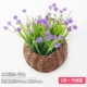 Lotus Heart Cao Blue 2 начинается (отправьте маленький баскетбол бамбука)
