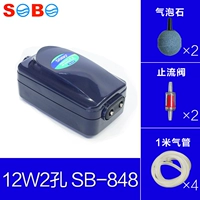 Два -отверстие 12W+аксессуары+газовые камни