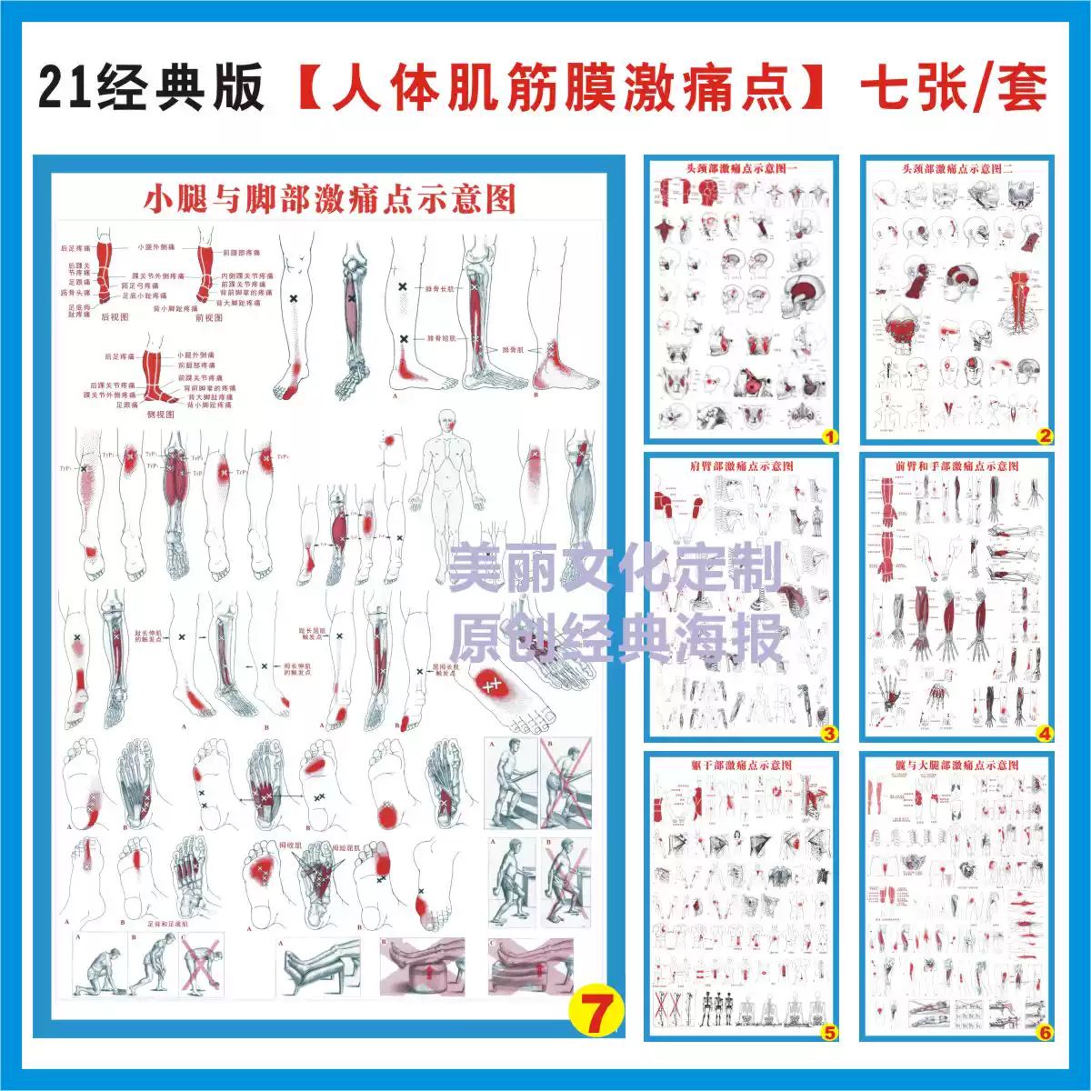 叶颖华激痛点全身疼痛图意大利FM筋膜手法防水教学海报, image size:1200x1200