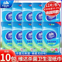 Vida Wipes 10 packs 120 Mint Iced Tea Household Sterilization Portable Cleaning Wipes Disposable Skin Cleaning Wipes Disposable Skin