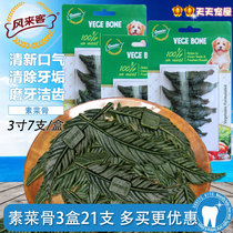 Promotion for wind visitors 3 inches vegetarian bones 21 mounted teddy with teddy bears and other clean tooth dog snacks