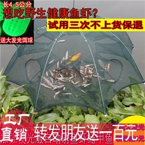 Shrimp cage fishing net fish net fishing cage shrimp net catch fish rice field eel Loach crab cage automatic folding umbrella cage fishing gear