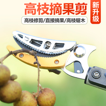 Carpenter picking fruit cut with high branches saw off fruit high altitude picking fruit cut and telescopic fruit cutting machine lychee dragon eye loquat high branch cut