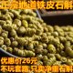 Authentic iron-skinned dendrobium maple bucket iron-skinned dendrobium planting dendrobium granules 100g500g can be live-milled