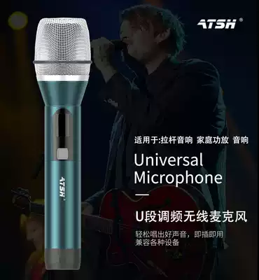 Wireless microphone Professional home singing Outdoor mobile audio amplifier stage U-segment portable universal microphone
