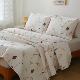 Double-sided cotton bed cover three-piece set cotton bed sheet pure cotton summer quilt air conditioner quilted quilt tatami four-season model