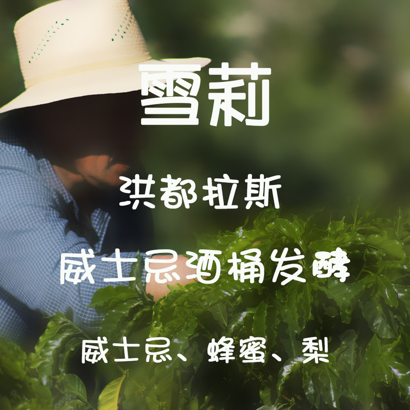 Micro-Pink Specialty Coffee Honduras Moka Manor Sherry Whiskey Barrel Fermentation Treatment 200g