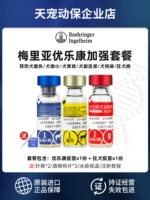 Berlin Gelian Ge Ge Lekang Six Union Vaccine+Rebecka Waxpies Vaccine Antermister Dogs Package 6 United
