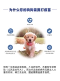 Мастер США Tengwei Jiawu Four Union Dogs Vaccine Vaccine Vaccine Pfizer 5 щенков и собака Pet Dog Plague Маленькие 5 куплетов
