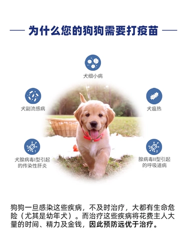 [美国硕腾卫佳伍四联犬用活疫苗辉瑞卫佳5幼犬狗狗宠物犬瘟细小5联]