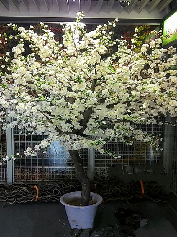 仿真梨花树 定做假树桃花樱花红枫树室内装饰大型假树假花摆设 新品促销 樱花 枫树 室内装饰 梨花 摆设途虎网 仿真梨花树 定做假树桃花樱花红枫树室内装饰大型假树假花摆设 新品促销 樱花 枫树 室内装饰 梨花 摆设途虎网