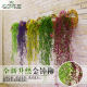 Artificial Flower Vine, Fake Flower, Silk Flower, Golden Bell Willow, Wall Hanging, Living Room Air Conditioning Duct Decoration, Green Leaf Plant
