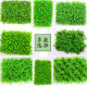 Simulated Green Plant Wall, Plant Wall Background, Artificial Turf Wall, Fake Grass Carpet, Indoor Balcony Wedding Decoration Wall Lawn