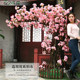 Artificial Crabapple Tree Floor-Standing Floral Arrangement Indoor Decoration Green Plant Peach Blossom Cherry Blossom Imitation Plum Blossom Wishing Tree Potted Plant