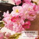Artificial Crabapple Tree Floor-Standing Floral Arrangement Indoor Decoration Green Plant Peach Blossom Cherry Blossom Imitation Plum Blossom Wishing Tree Potted Plant