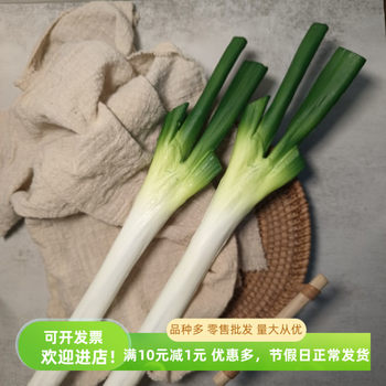 Simulated green onion garlic vegetable prop model children Simulated green onion garlic vegetable prop model children