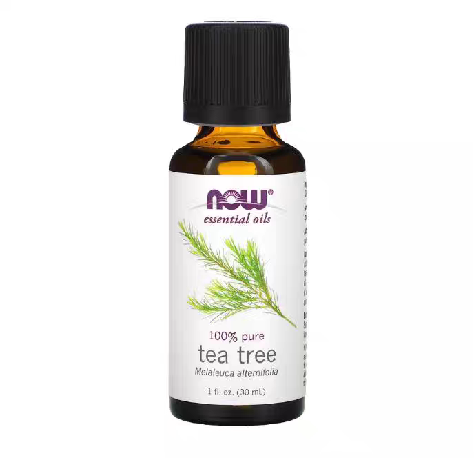 In Stock Now Foods Tea Tree Pure Tea Tree Essential Oil Repair and Cleansing 30ml Tea Tree Essential Oil