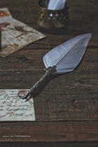 Retro Goose Pen Set Carving Pen Decoration Food still photography props (2 store props)