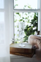 Simulation of eucalyptus leaf lace curtain broken window background plate making still life photography (second store prop shop)