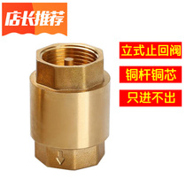 Brass vertical check valve 4 minutes 6 minutes 1 inch with stainless steel filter high temperature resistant water meter front valve check valve dn15