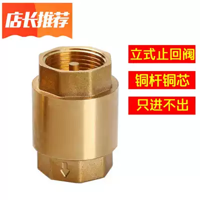 Brass horizontal vertical check valve 4 minutes 6 minutes 1 inch with filter screen water meter front check valve check valve copper dn15 20