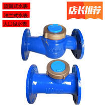 Xiamen rotary wing flange household large diameter tap water cold water meter LXS-50 hot and cold water meter 2 inch 3 inch 4 inch