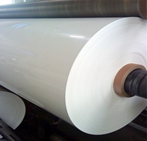 Tide hair PET Milk white film pet polyester film