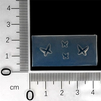 Nailo плесень KT76-M201