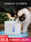Диспенсер для кошки, текущий тихий домашний животный, поставляется с водой бассейн кошки питьевой артефакт Артефакт воды Автоматическая циркуляция