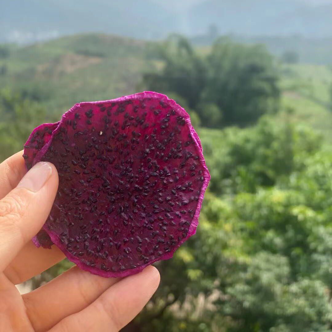 (Buy one send one) Yunnan peeled red heart fire dragon fruit dried sheet handmade fruit tea flower fruit tea 50g