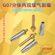 Cutting nozzle 100 type propane liquefied gas 30 gas gas cutting gun torch National Standard all copper stainless steel plum blossom 2 cutting nozzle