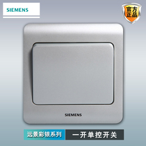 Siemens single-link single-control switch panel vision color silver 86 type household wall concealed one-open single-control switch