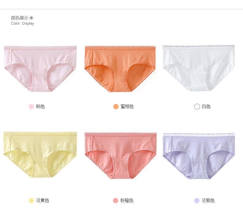 Slip jeunesse COYEEE P19-001 - Ref 641897 Image 16