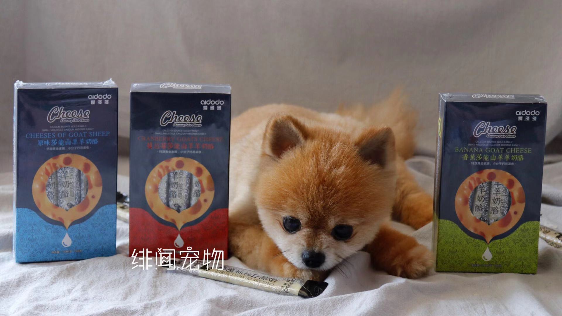 Yêu nhiều chó ăn vặt phô mai dải pudding dê phô mai hấp thụ tốt hơn thức ăn vật nuôi sữa dải canxi bổ sung - Đồ ăn vặt cho chó smartheart puppy