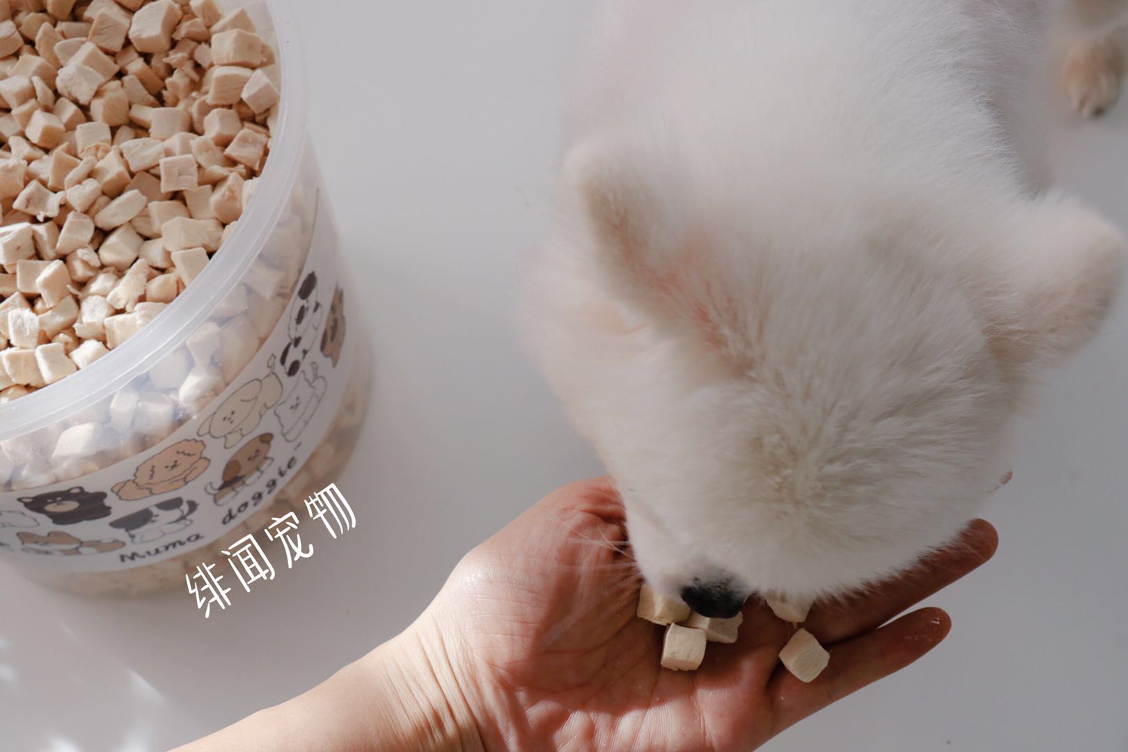 800g đông lạnh quá khổ và giá cả phải chăng! Ăn mát! Chất lượng xuất khẩu thịt chó nguyên chất đông lạnh đồ ăn khô cắt thành miếng - Đồ ăn vặt cho chó thức an cho chó bao 50kg
