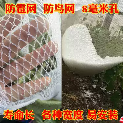 Grape anti-hail net cherry orchard anti-hail net polyethylene anti-ice hail anti-bird net protective net Sky Net