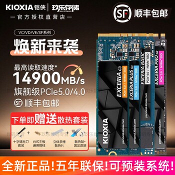 Kioxia Sd10 1t Solid State Drive Sf10 2t Vd10 Vc10 Ve10 M.2 Nvme Pcie Ssd