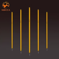 Одна установка логотипа обучения на наземном футболе