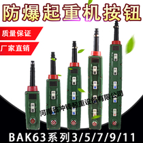 Explosion-proof control handle BKA63 electric hoist explosion-proof control handle button explosion-proof handle explosion-proof electrical gas